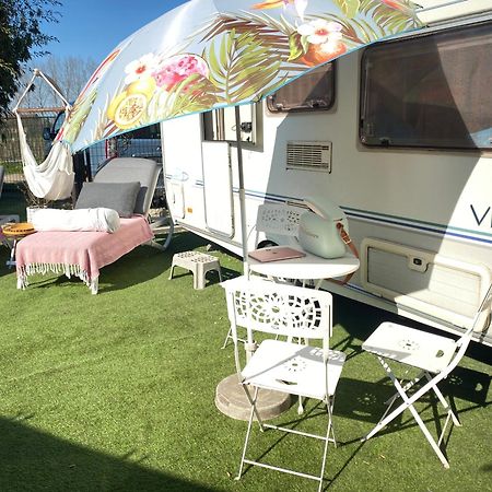 Gardencaravan Near Ghent In Green Area Ngoại thất bức ảnh